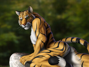 Tiger Culo by Wookiee -- Wool Affinity dot net