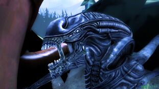Displaying Hardcore Photos for Alien predator xenomorph